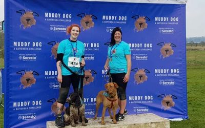 Muddy Dog Challenge 2019